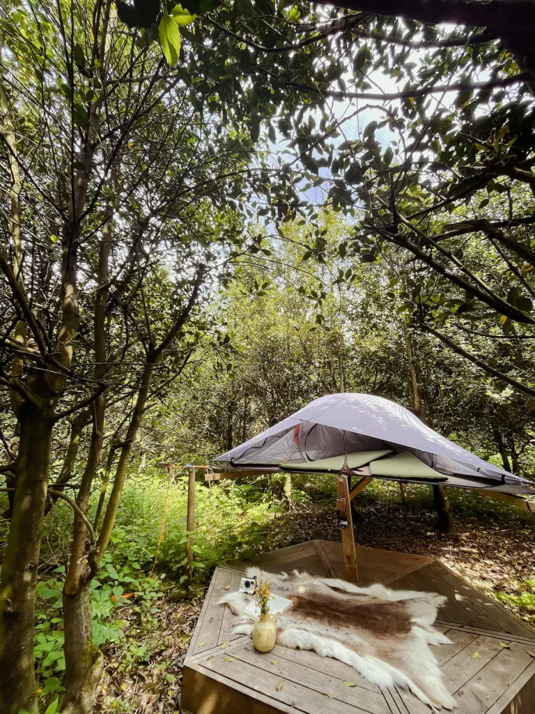 Tree Tents på Thorséng Nature Resort glamping I naturen