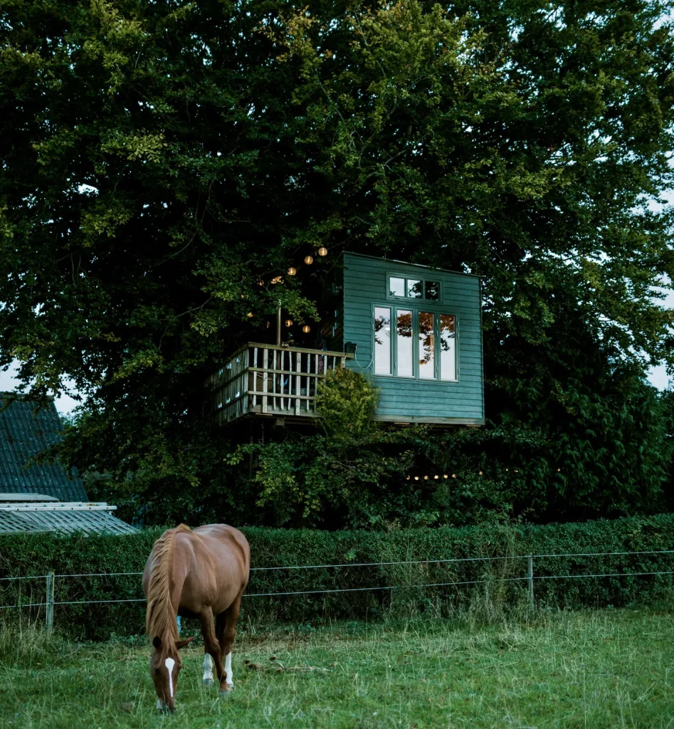 Det lille grønne hus glamping på fyn